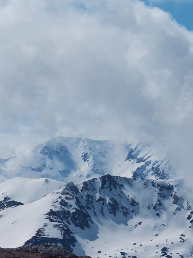 Snowy landscape