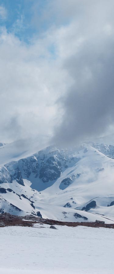 Snowy landscape